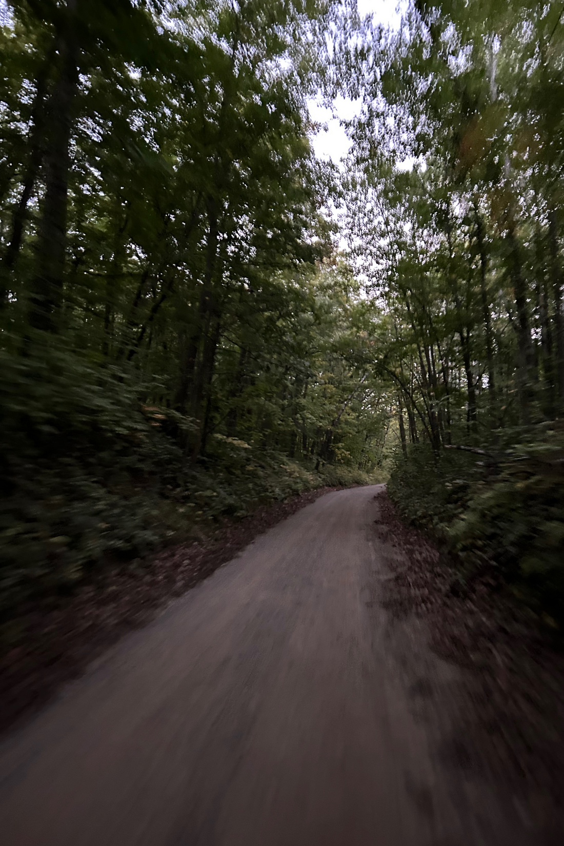 Inspiration Image for "The Way" Landscape Painting of path through the forest with strong light source