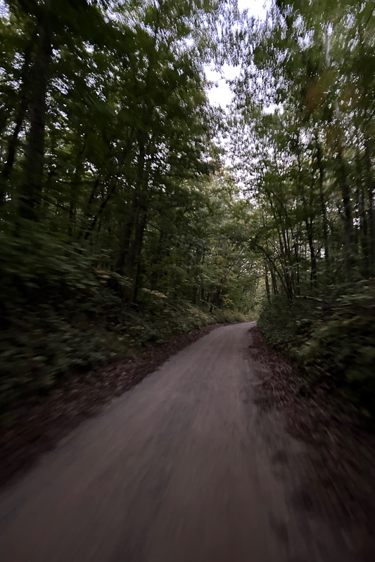 Inspiration Image for "The Way" Landscape Painting of path through the forest with strong light source