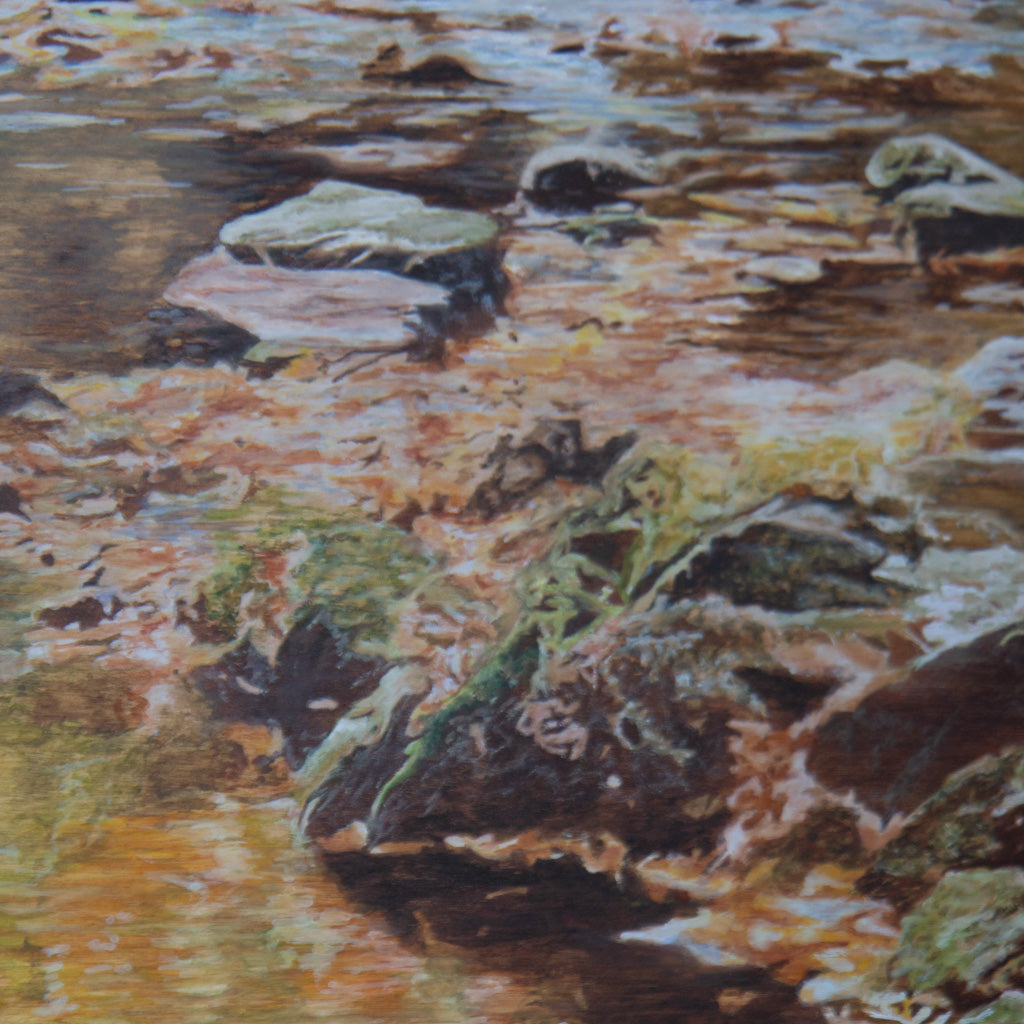 Arboretum - 30" x 20"