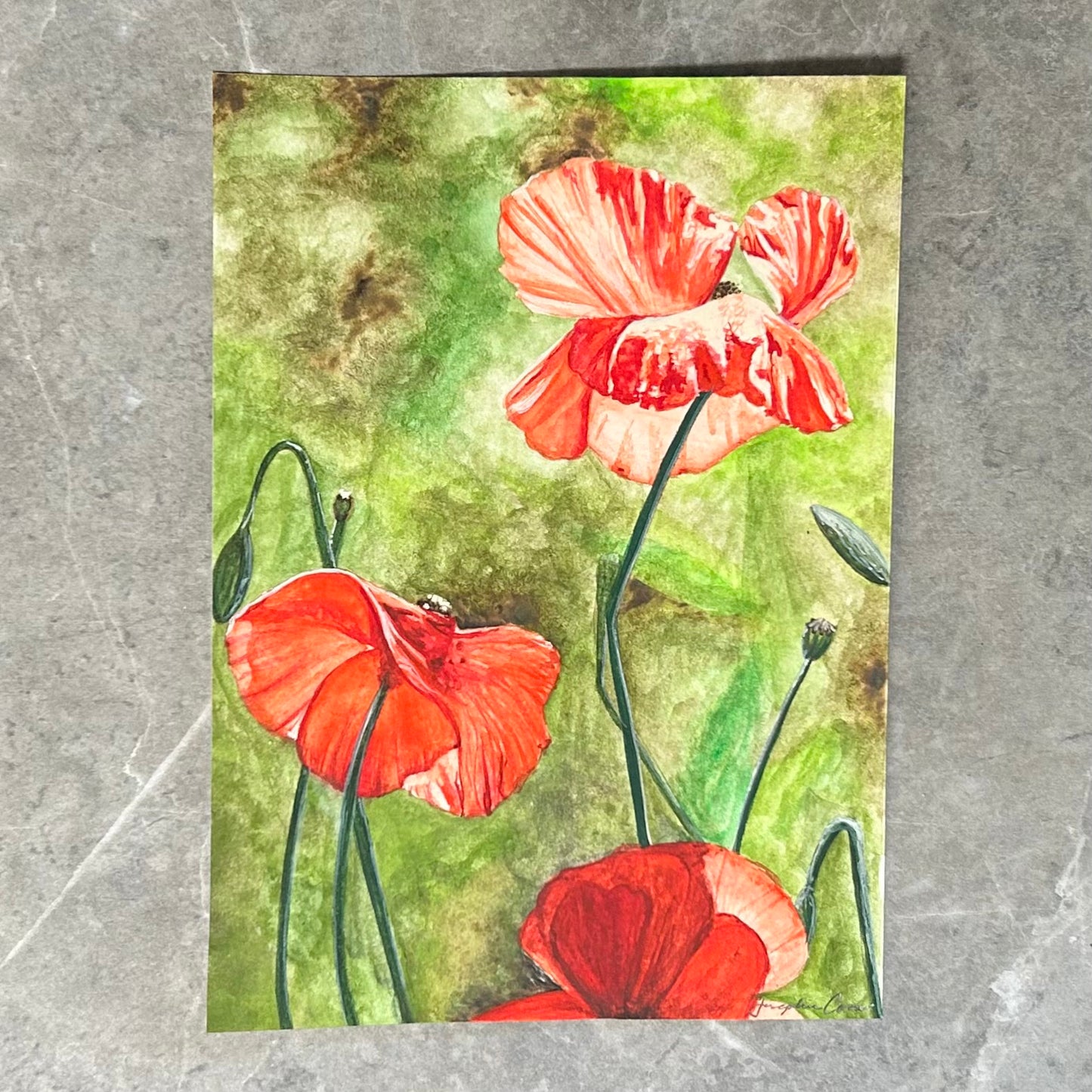 Poppies - 5" x 7"
