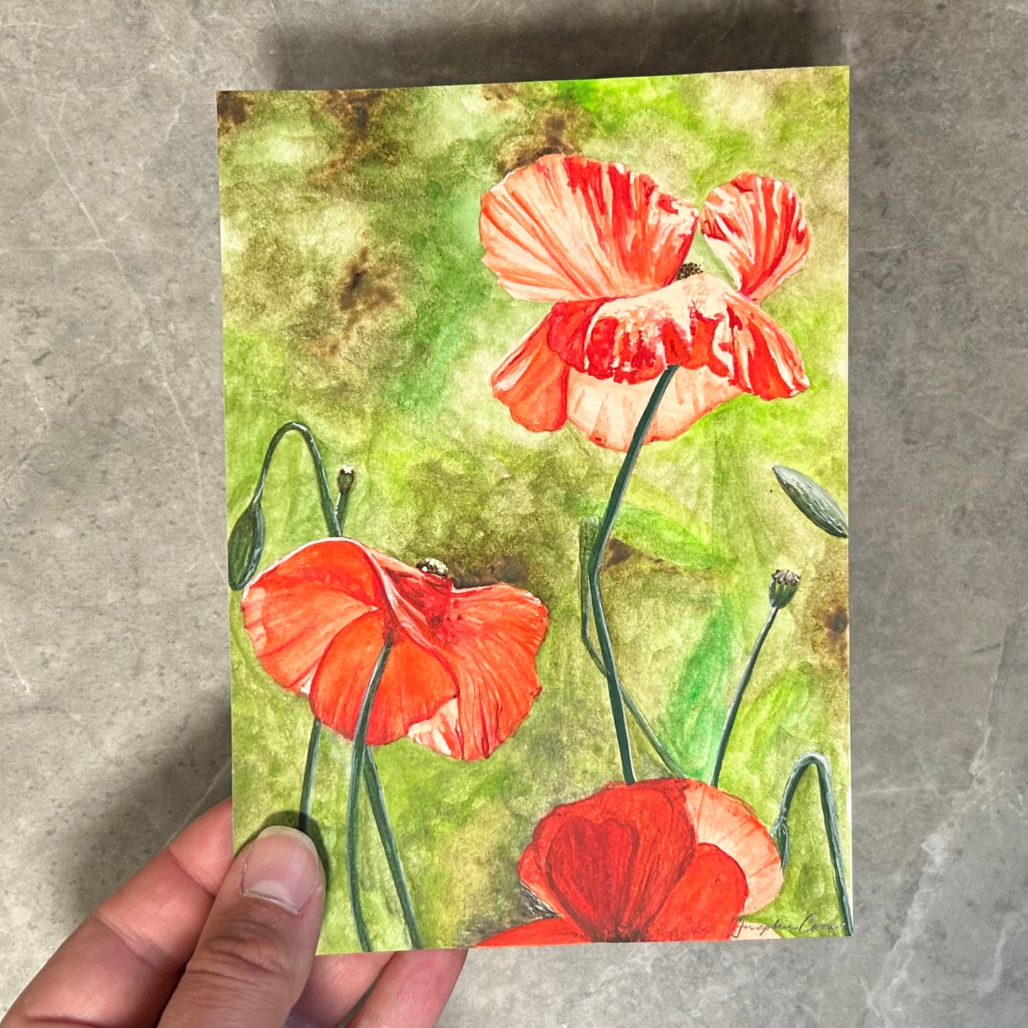 Poppies - 5" x 7"