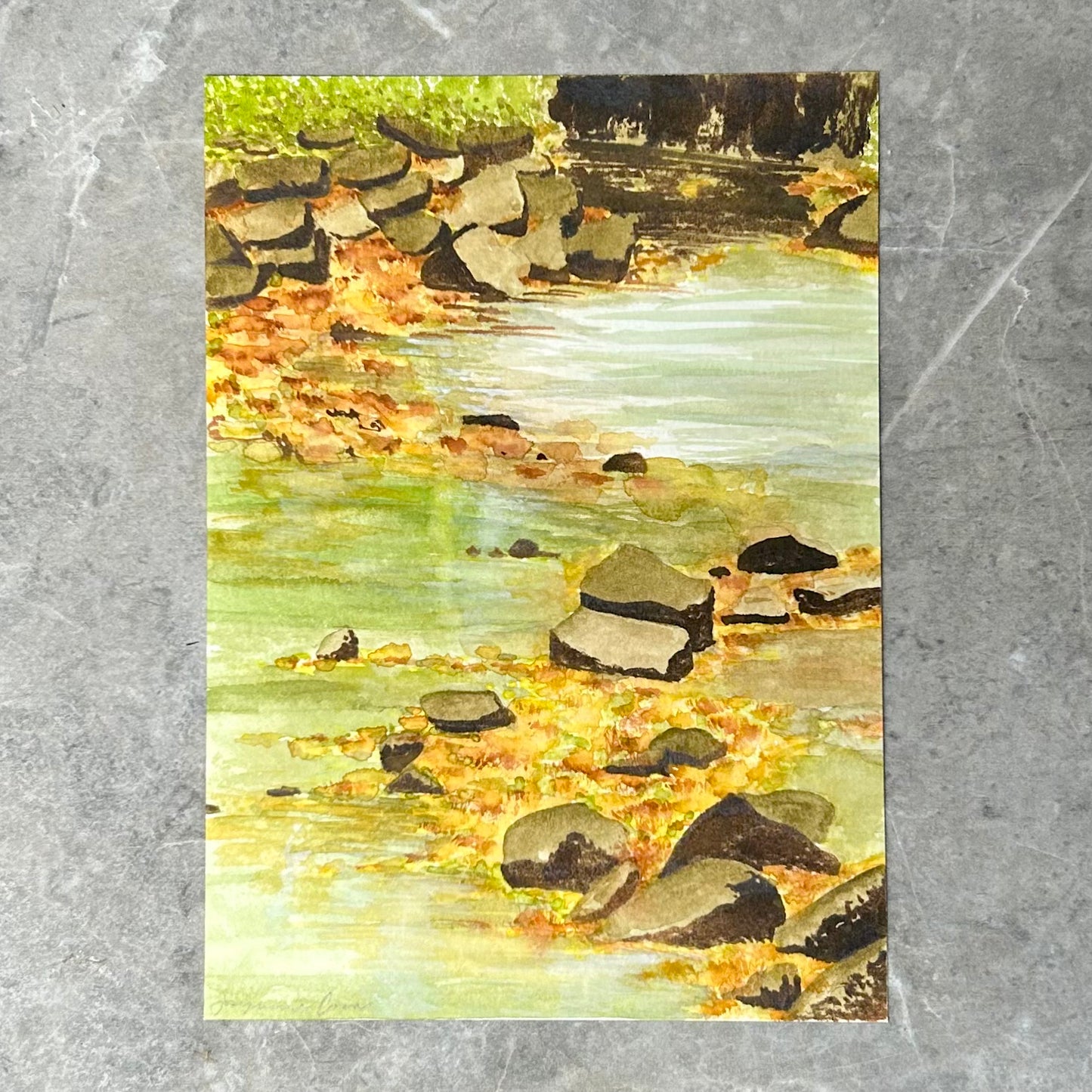 Arboretum No.3 Artist Study - 5" x 7"