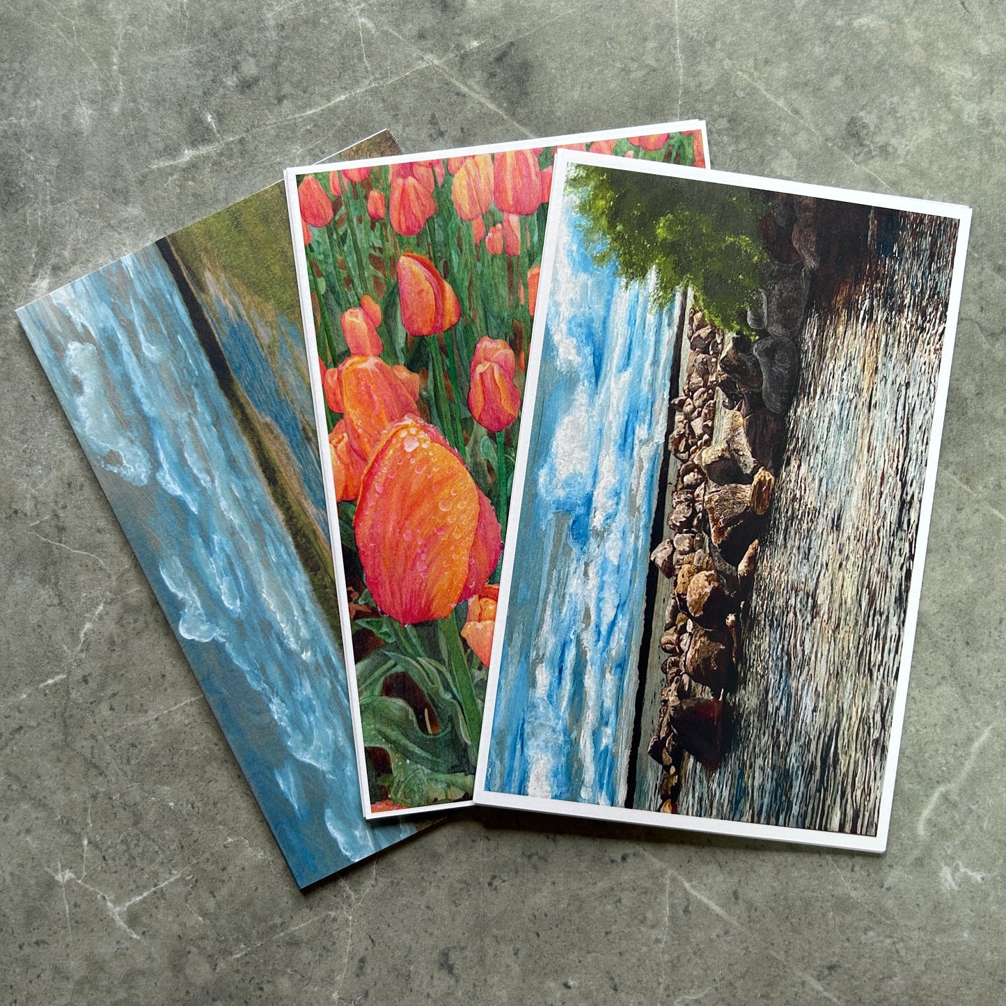 6 Pack Greeting Cards - 5x7 Variety Pack