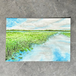 Pine Lake Artist Study