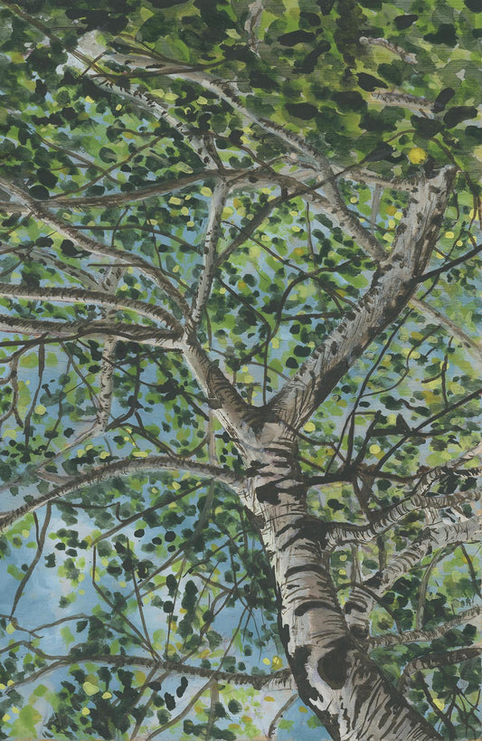 Majesty- 4" x 6"