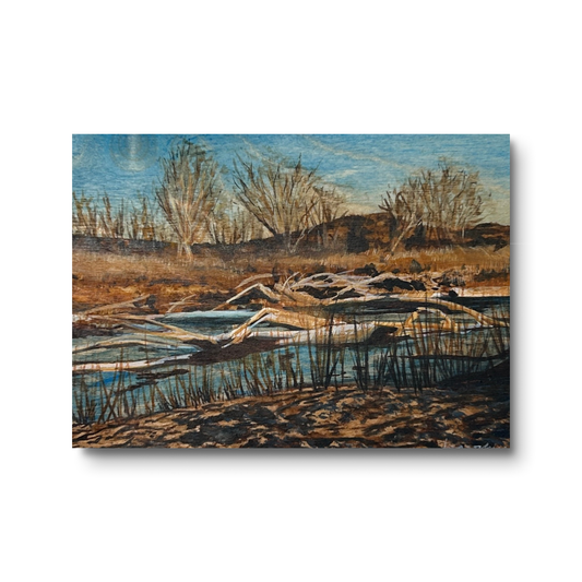 Source - 16" x 20" Print Mounted to Cradled Panel