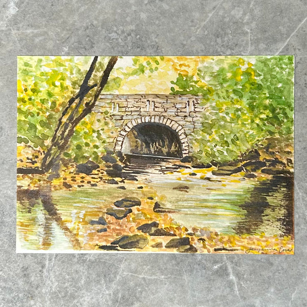 Arboretum No.1 Artist Study